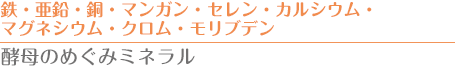 鉄・亜鉛・銅・マンガン・セレン・カルシウム・マグネシウム・クロム・モリブデン　酵母のめぐみミネラル