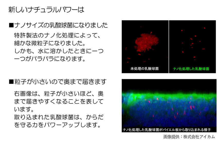 バリアパワーがさらにアップ！ナチュラルパワーの乳酸球菌が新しくなりました